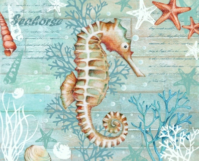 ADGE0596-seahorse