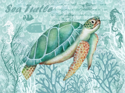 ADGE0600-turtle