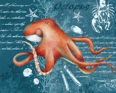 ADGE0601-octopus-Recovered