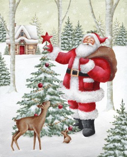 ADGE0635-santa