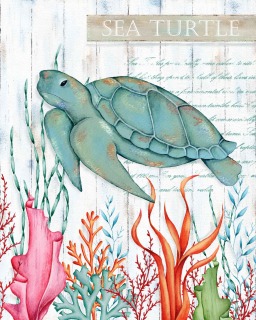ADGE0636-turtle