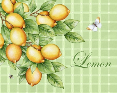 ADGE0712B-lemons ADGE0712B-lemons