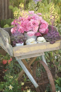 CB-1004-flower-cart CB-1004-flower-cart