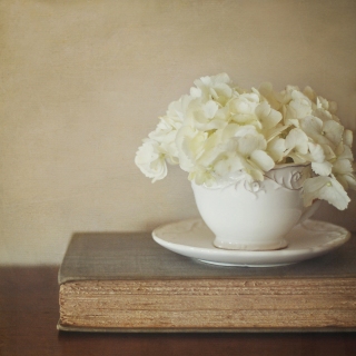 CB-1007-hydrangea-cup-8x8