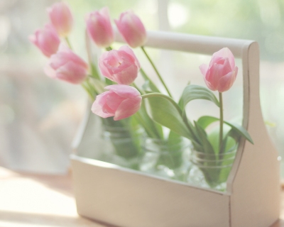 CB-1009-Jars-of-Tulips