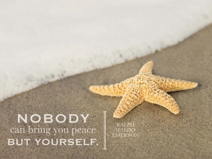 CB-1013-starfish.RC_