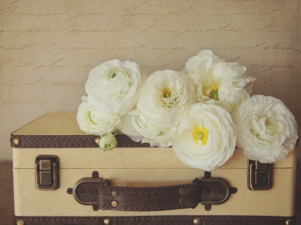 CB-1014-suitcase_flowers