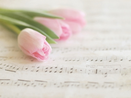 CB-1015-tulips_music1