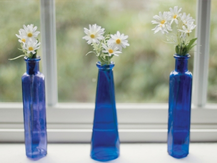 CB-1016-blue-bottles