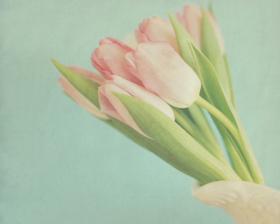 CB-1018-tulips-pitcher