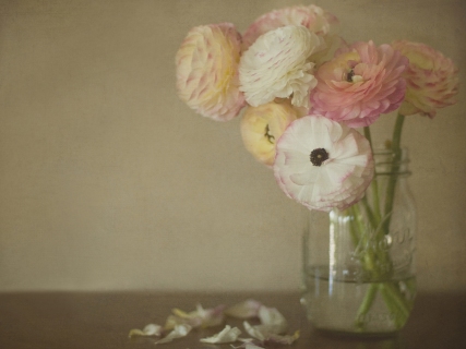 CB-1022-flowers-in-jar