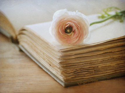 CB-1035-flower-oldbook