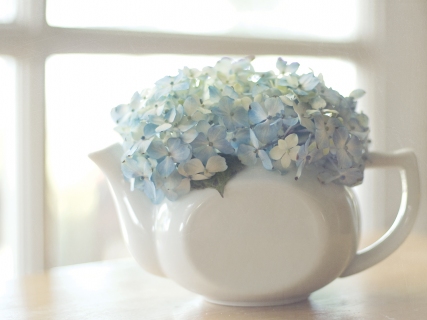 CB-1036-hydrangea-teapot