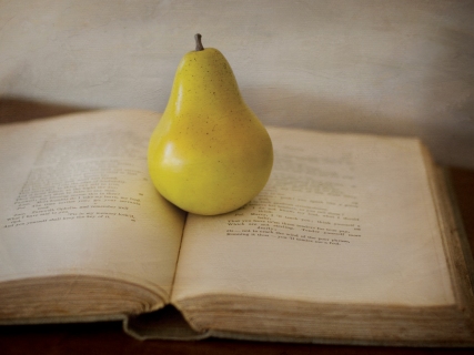 CB-1037-pear-book