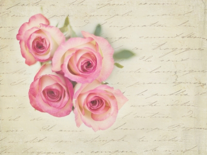 CB-1039-roses-from-above