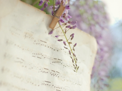 CB-1041-wisteria-music-sheet