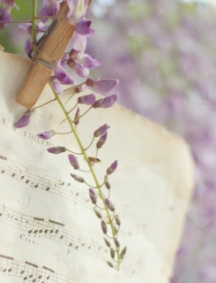 CB-1041a-wisteria-music-sheet