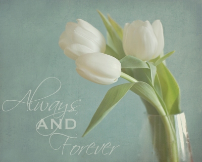 CB-1043-3tulips-with-words