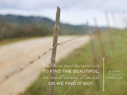 CB-1044-fence-countryroad.RC_