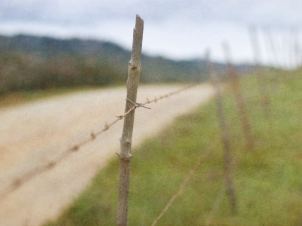 CB-1044-fence-countryroad