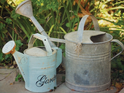 CB-1046-watering-cans
