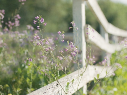 CB-1047-Country-Fence