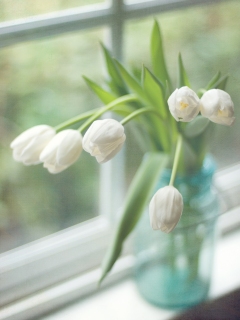 CB-1049-tulips-windowsill