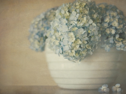 CB-1059-blue-hydrangeas-bowl