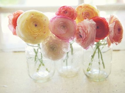 CB-1064-mason-jar-flowers