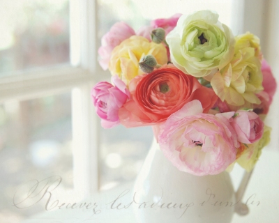 CB-1072-flowers-pitcher-script