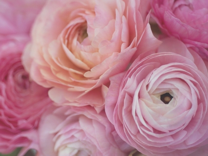 CB-1074-ruffles-swirls