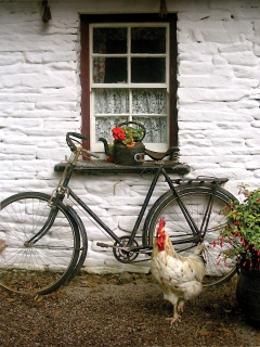 CB-1075-irish-cottage CB-1075-irish-cottage
