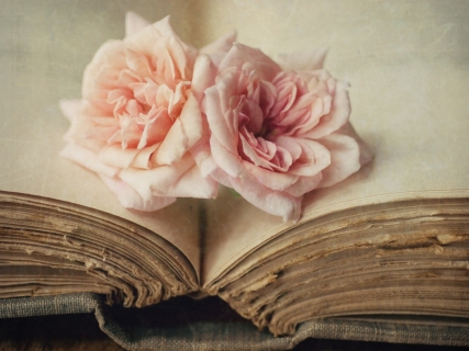 CB-1085-roses-book