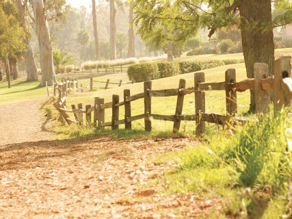 CB-1088-path