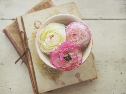 CB-1091-books-flowers-bowl2