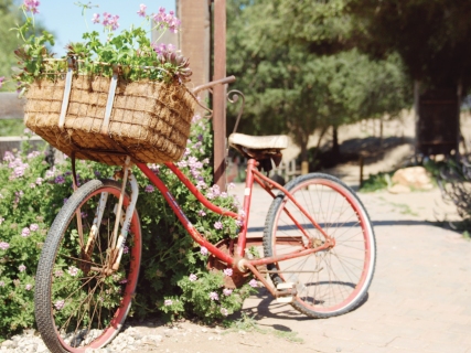 CB-1098-bicycle-gate1