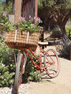 CB-1099-bicycle