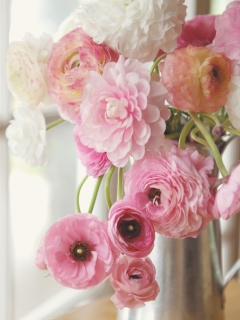 CB-1105-flowers-silver-pitcher