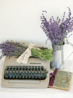 CB-1110-lavender-typewriter1