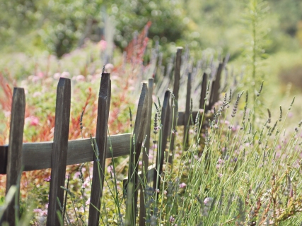 CB-1112-picketfence