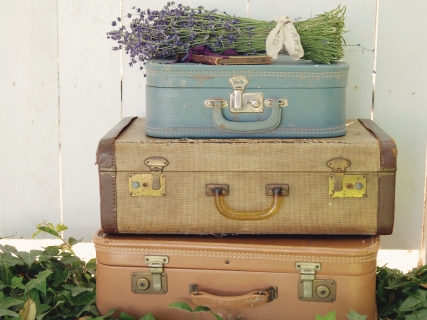 CB-1114-suitcases-lavender2