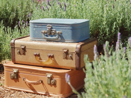 CB-1115-suitcases