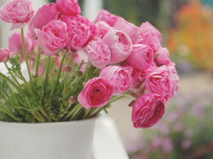 CB-1127-flowerfields-3