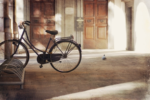 CB-2010a-bicycle_pigeon CB-2010a-bicycle_pigeon