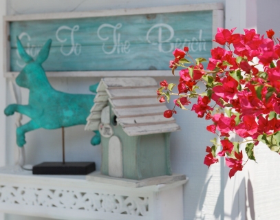 CB-2024-bougainvilla