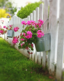 CB-2037-flowers_bucket