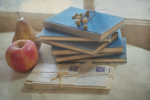 CB-2040-books_letters_fruit