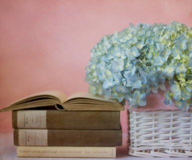 CB-2043-hydrangea_basket_books