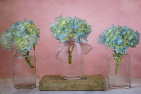 CB-2044-hydrangea_book1