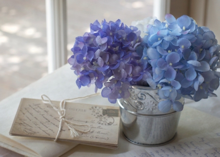 CB-2045-hydrangea4